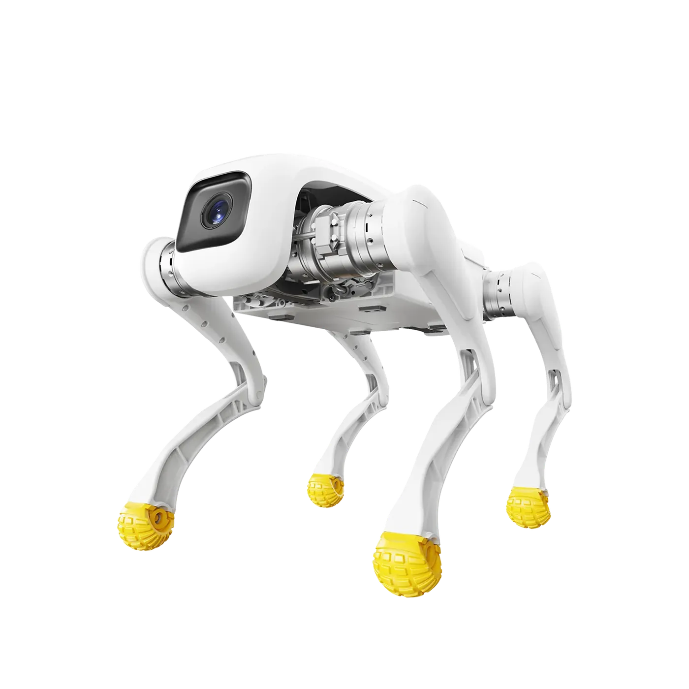 AgiBot D1 EDU Education Solution System humanoid robot – Agibot