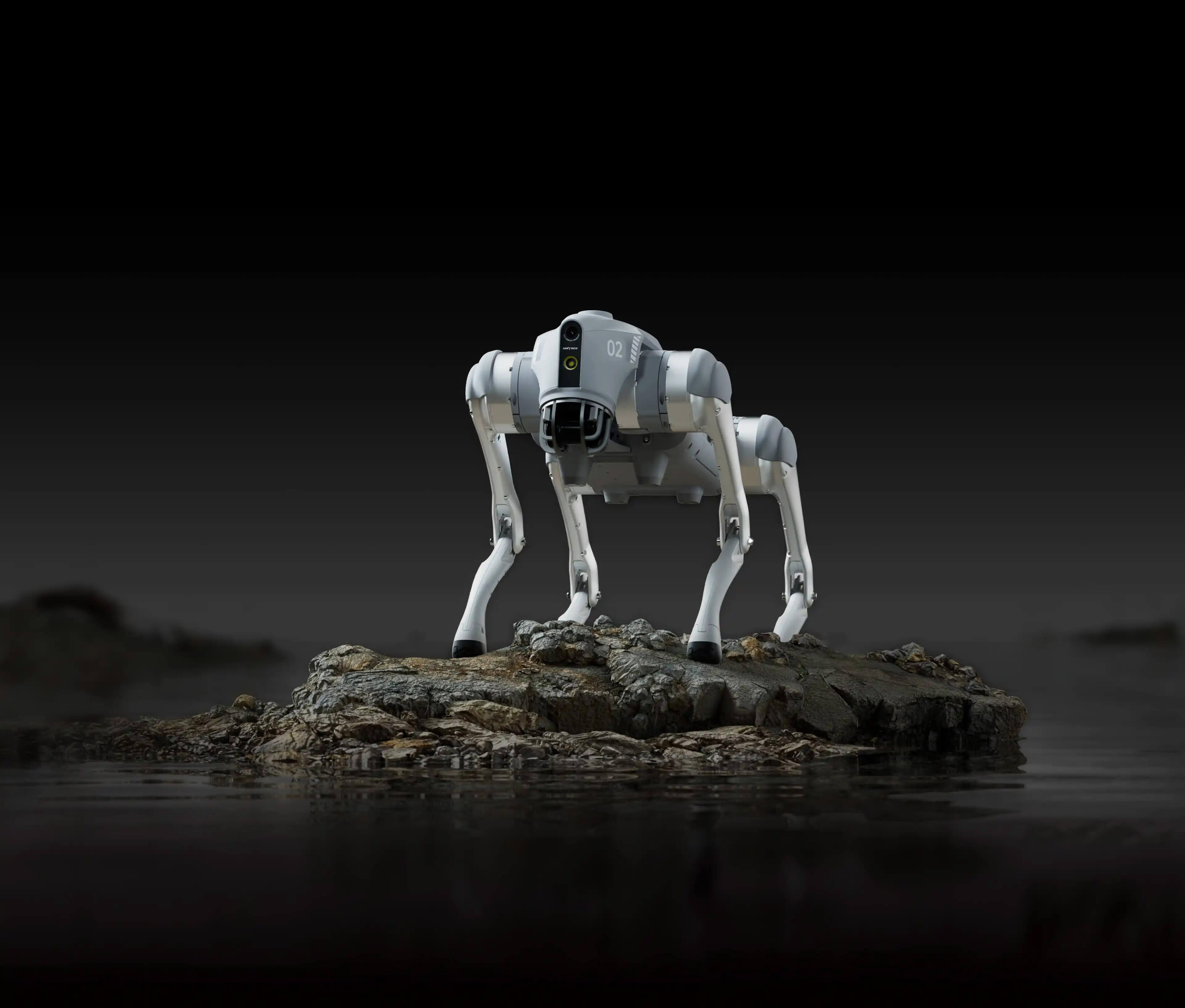 Unitree Go2 Pro humanoid robot – Unitree